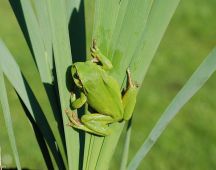 17 klettert bei Sonne an Land